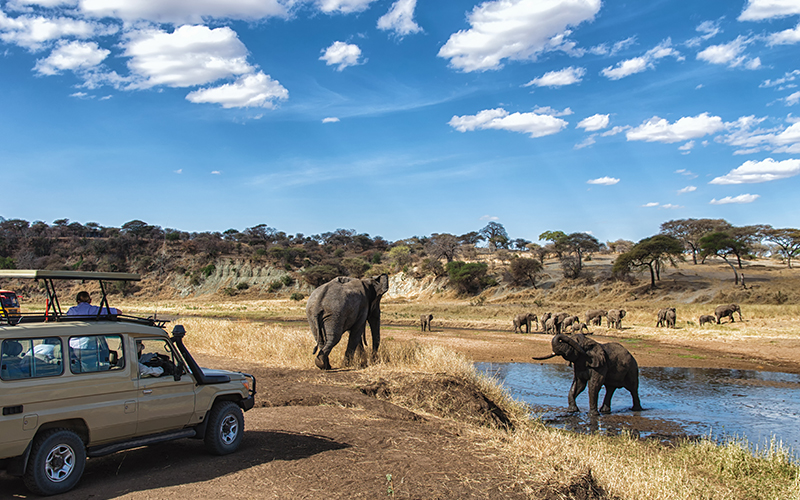 Arusha National Park Day Trips